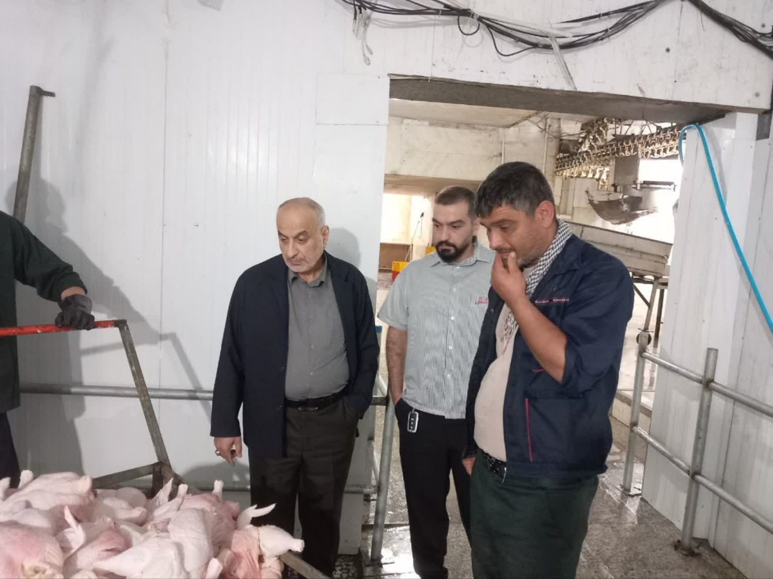 گرانفروشی در زنجیره مرغ گیلان؛ تخلفات کشتارگاه‌های سیاهکل و صومعه‌سرا در بازرسی شبانه محرز شد