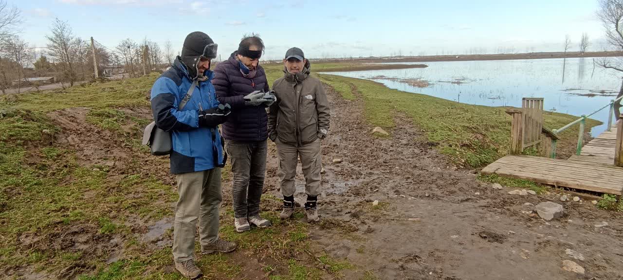 سرشماری پرندگان مهاجر آبزی در گیلان آغاز شد