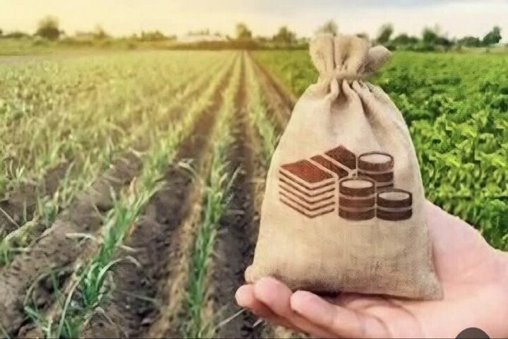 سایه قبض 400 میلیونی بر سر کشاورزان/ مشکل برق چاه‌ها ریشه‌ای حل شود