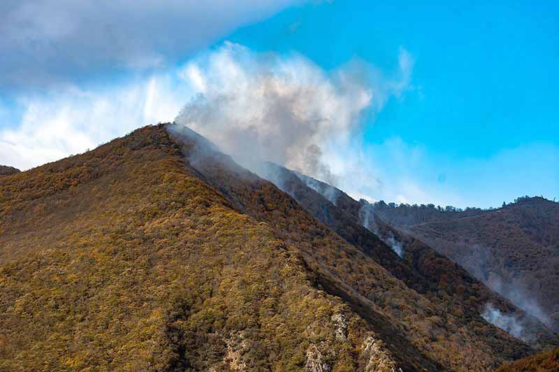 تغییر شرایط وقوع آتش‌سوزی جنگل‌ها؛ پاییز و زمستان هم در آتش