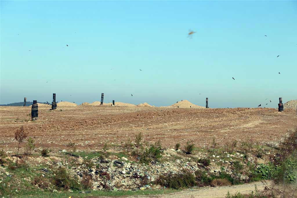 10 هکتار از اراضی لندفیل سراوان رشت به طور کامل روکش شد+تصاویر