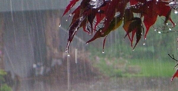 پراکندگی عجیب بارش‌ها 