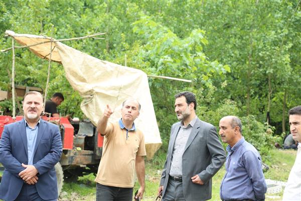 اتمام عملیات احداث 36 برج خط چهارمداره غرب رشت – انزلی – پره سر 
