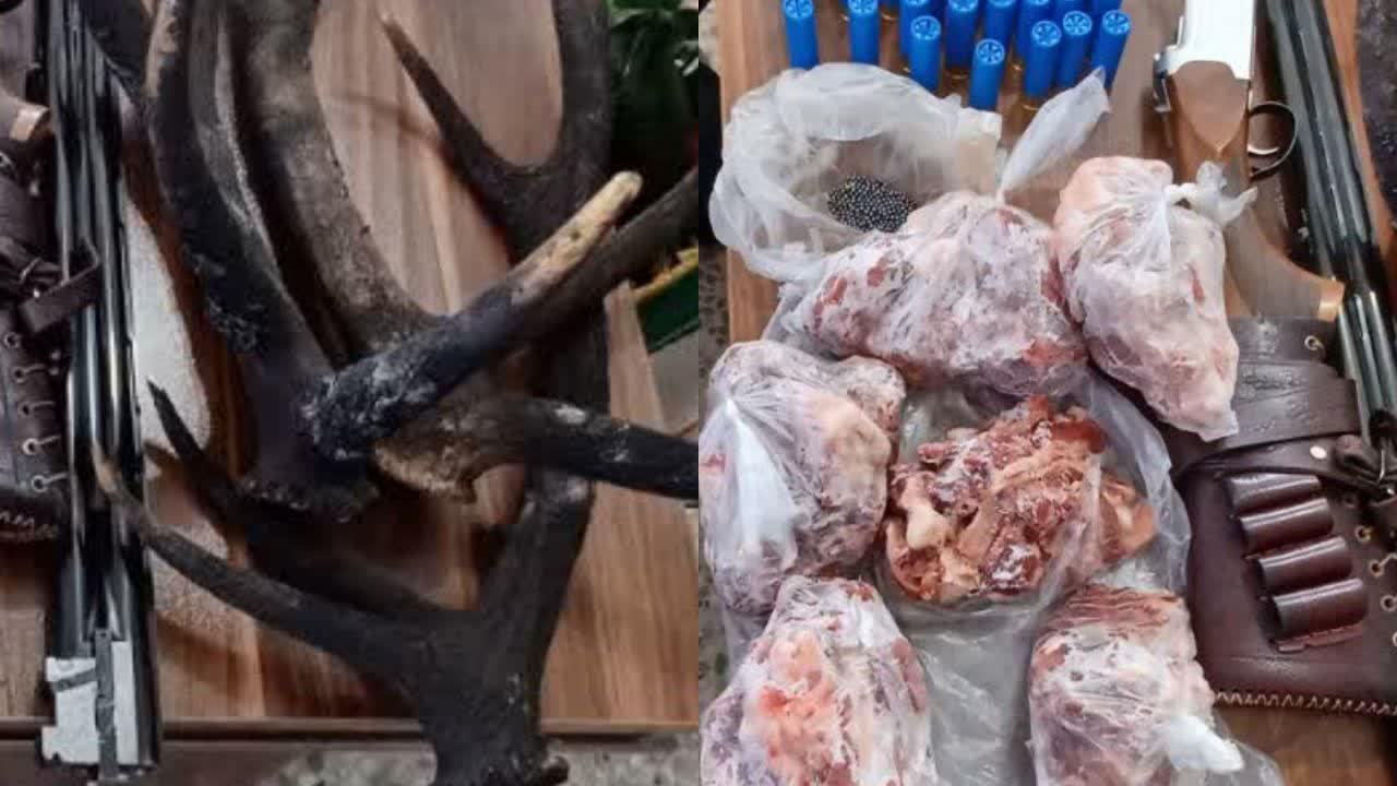 کشف لاشه مرال و سلاح غیرمجاز در رودبار