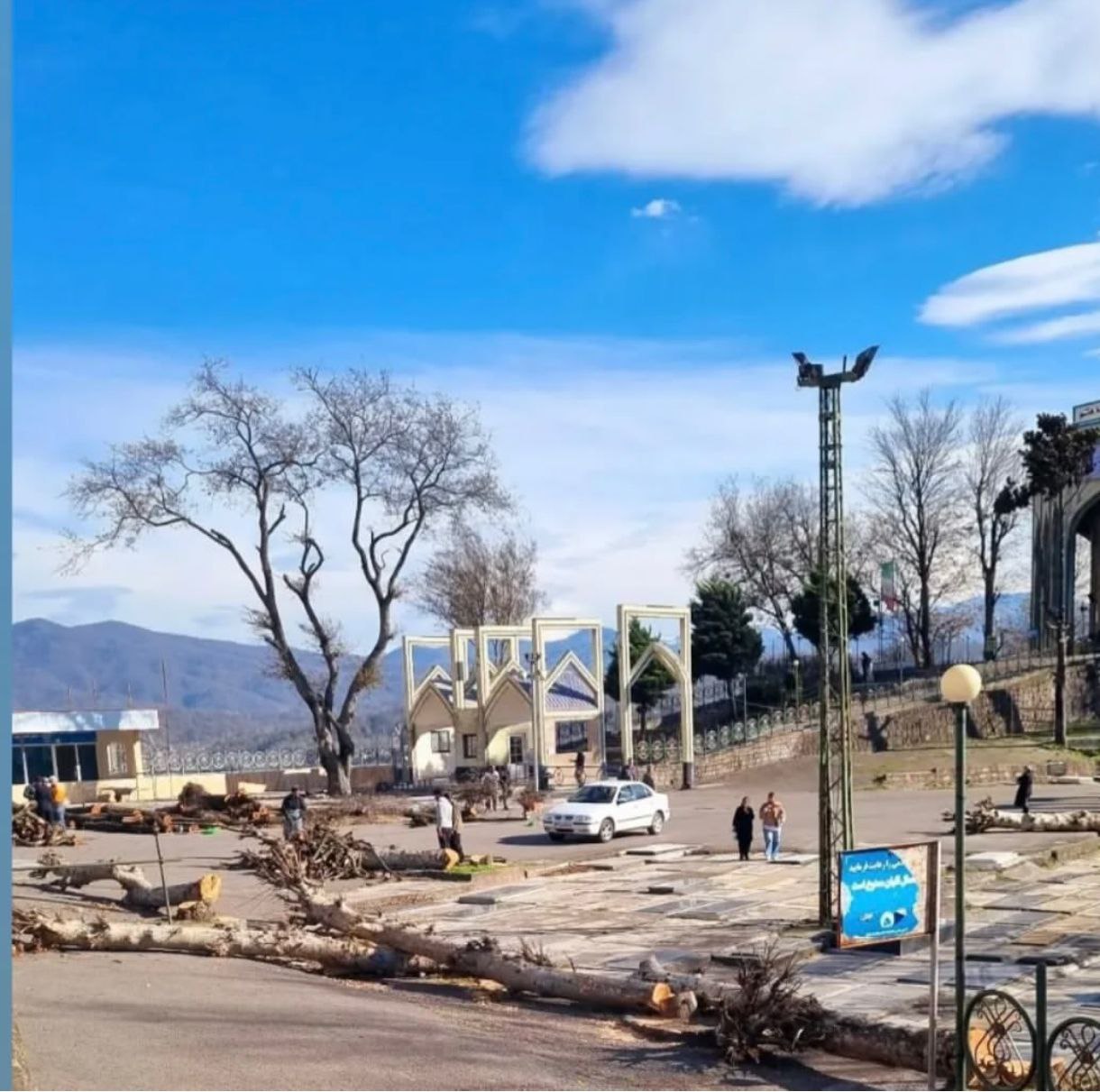 قطع درختان کهنسال صحن امامزاده هاشم + توضیحات منابع طبیعی
