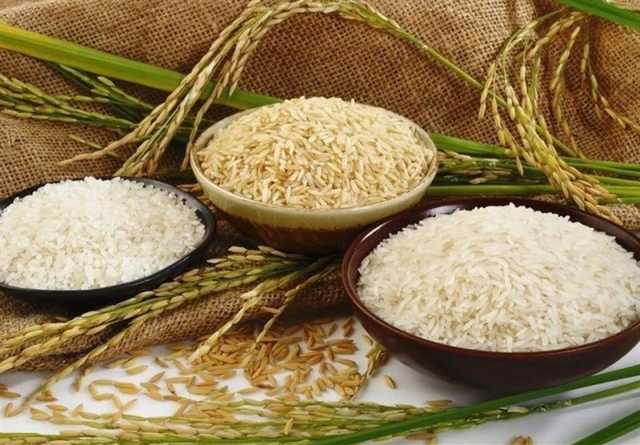  دستور ویژه رئیسی برای خرید تضمینی برنج شمال با اعتبار ۴ همت!