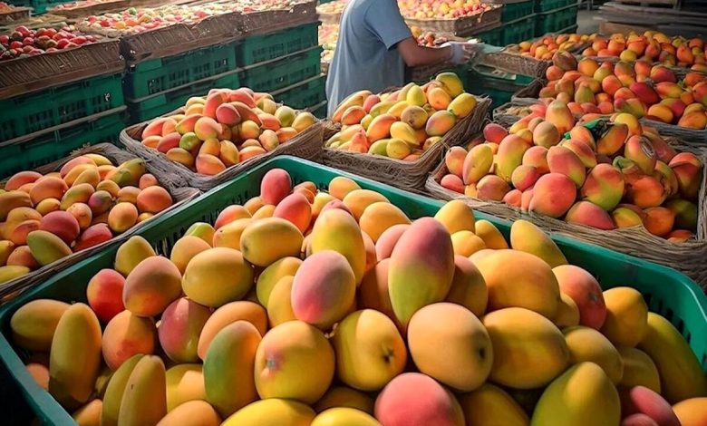  آیا «بنزین» از ایران قاچاق و به‌ جای آن «انبه» از پاکستان قاچاق می‌شود ؟