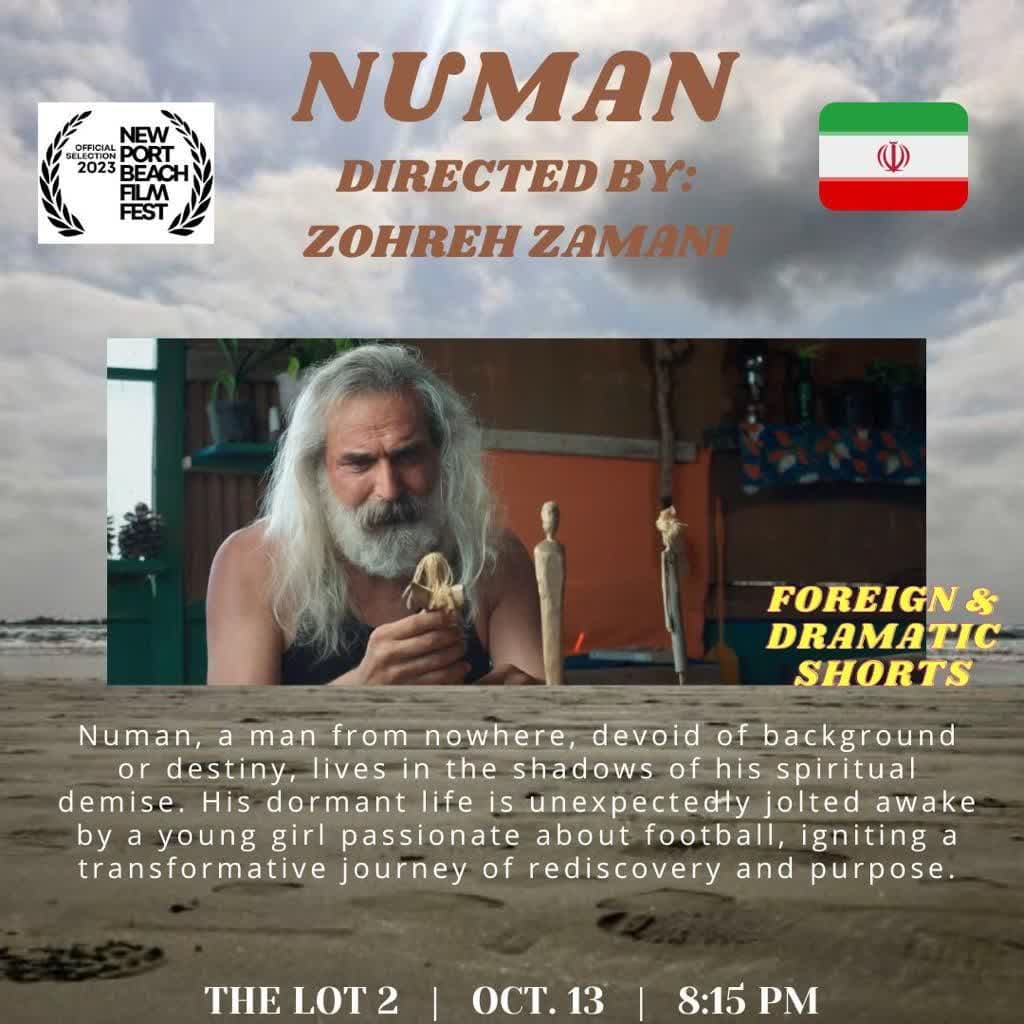 جايزه ويژه تدوين براي فيلم «نومان»