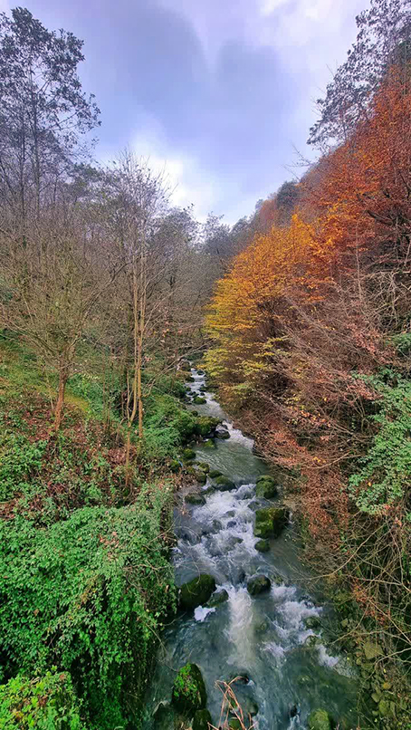 پاییز هزار رنگ گیلان