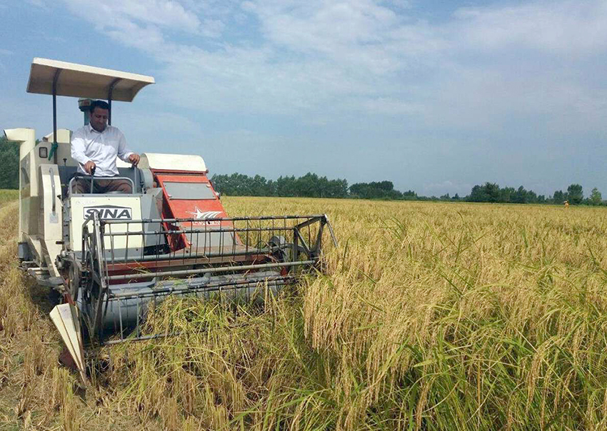 آغاز معاینه فنی کمباین‌های بالای ۵ سال در گیلان/ فعالیت بیش از 4800 دستگاه کمباین در گیلان