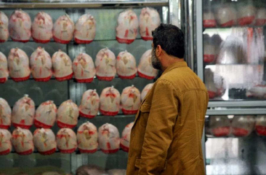 مصرف مرغ ۲۰ درصد کم شد