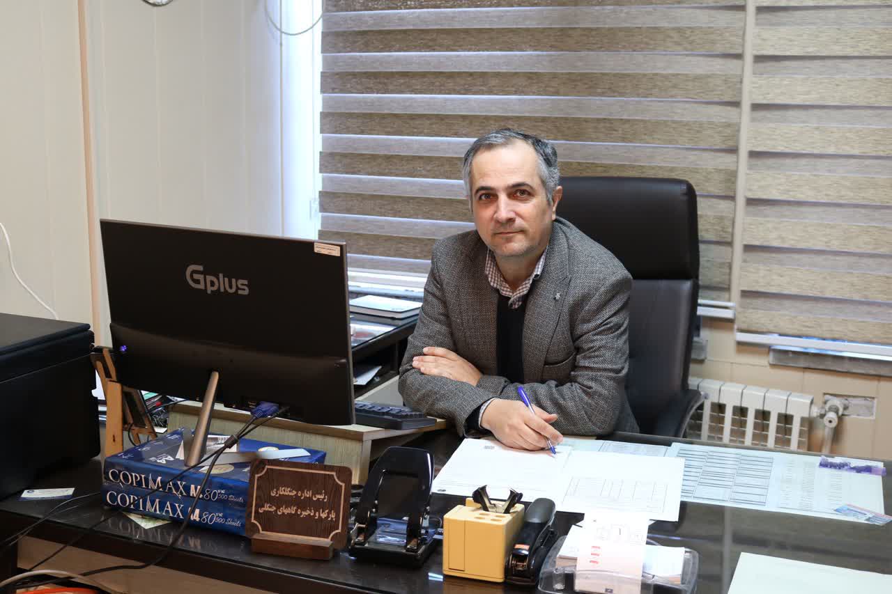 تولید بیش از ۳ میلیون اصله نهال جنگلی در گیلان