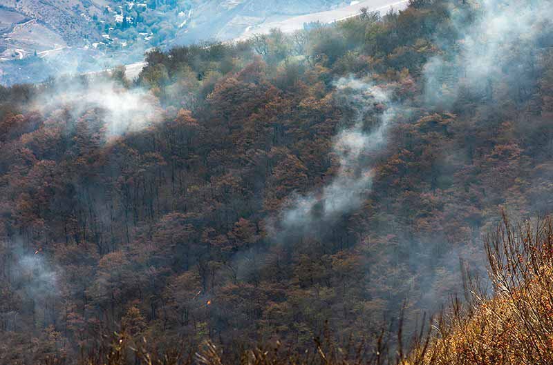 ۱۵ هکتار از مراتع و جنگل‌های گیلان طعمه آتش شد