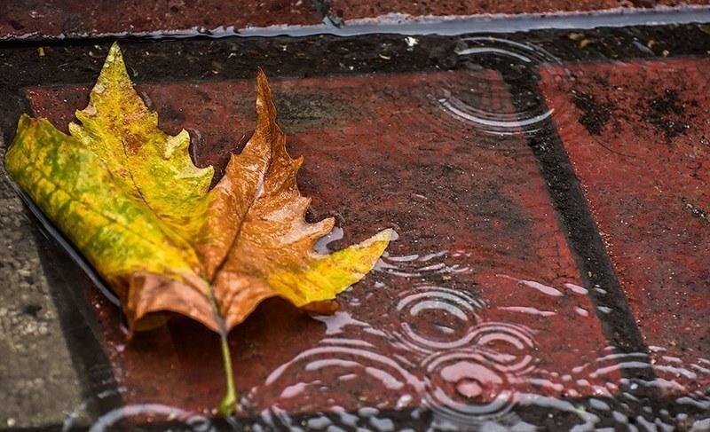 فعالیت سامانه بارشی در گیلان؛ کاهش ۶ درجه ای دما در راه 