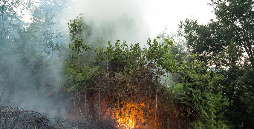 
	هشدار آتش سوزی در جنگل‌ها و مراتع گیلان

