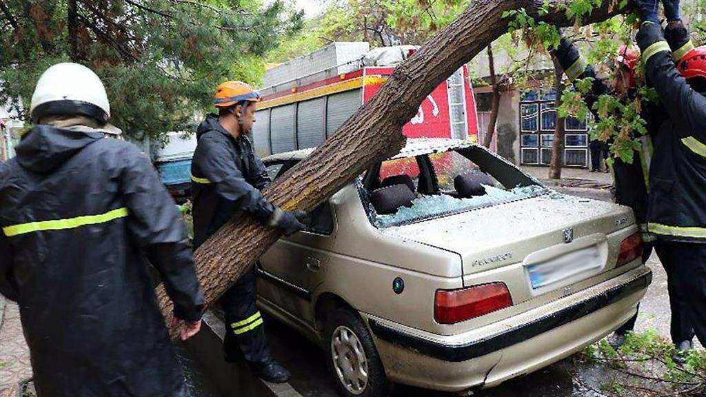 شهروندان تا ۱۵روز آینده از پارک کردن خودروهایشان کنار درختان خودداری کنند