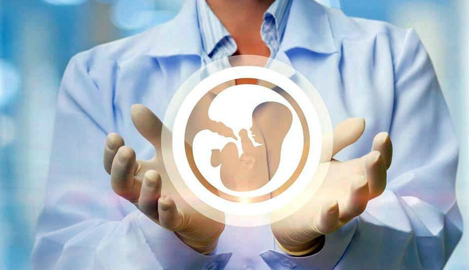 از هر 6 زوج ایرانی، یک زوج نابارور است/ سندرم تخمدان پلی‌کیستیک؛ شایع‌ترین اختلال هورمونی در زنان