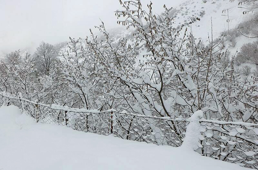 هشدار نارنجی برای ۹ استان از جمله گیلان | بارش شدید برف در راه