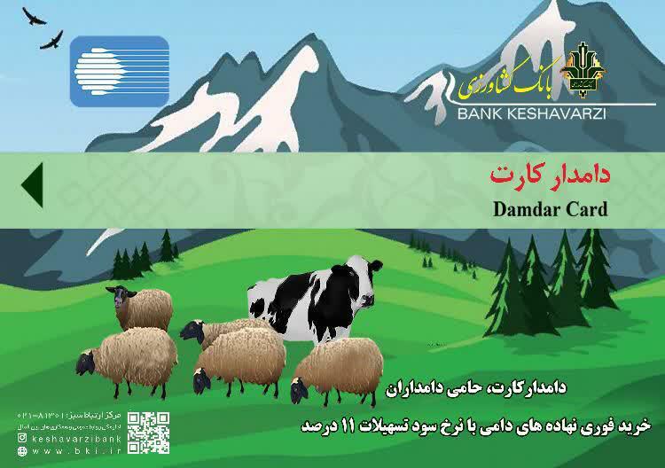 صدور