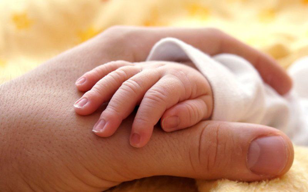 گیلان؛ اولین استانی که در آن میزان «مرگ» از «تولد» پیشی گرفت