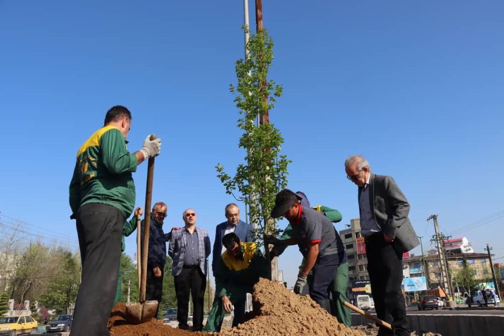  کاشت درختان بومی و اصیل هیرکانی در جاده تهران توسط شهرداری رشت
