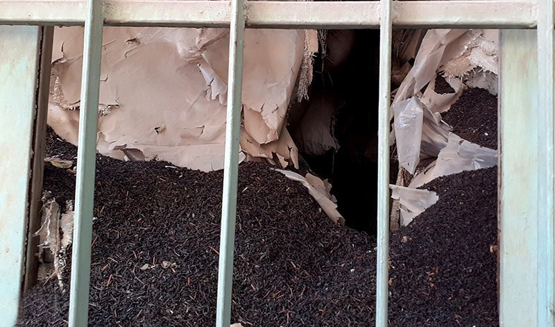 کشف انبارهای غیر مجاز چای ضایعاتی در شرق گیلان/ محکومیت قضایی صادر شد