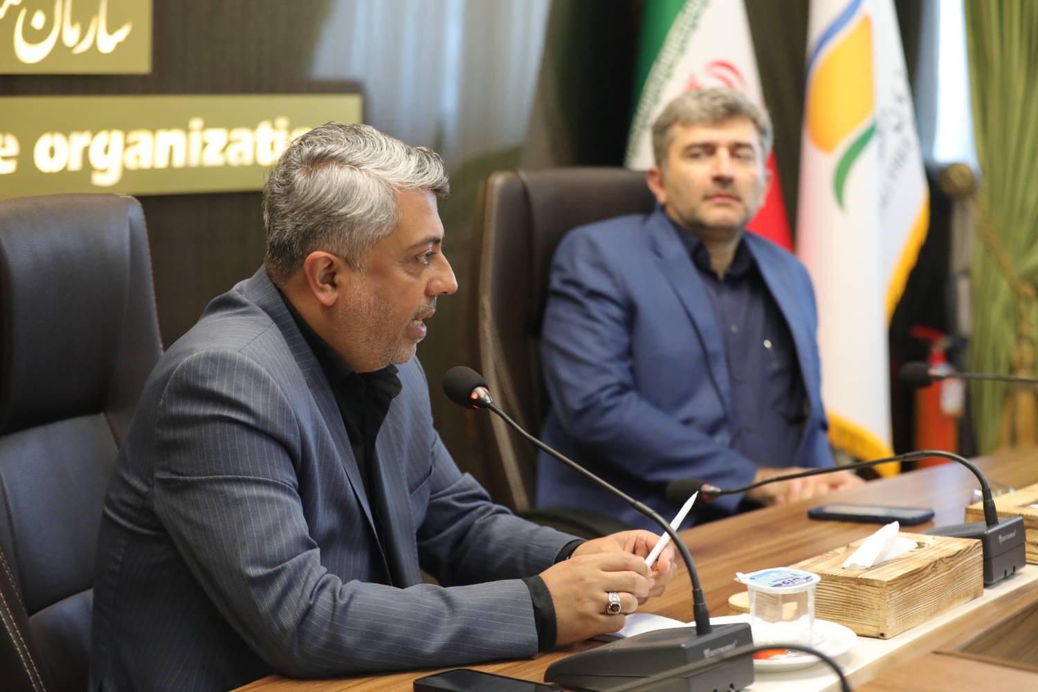 منطقه آزاد انزلی به کمک نوسازی شبکه برق کشور می‌آید