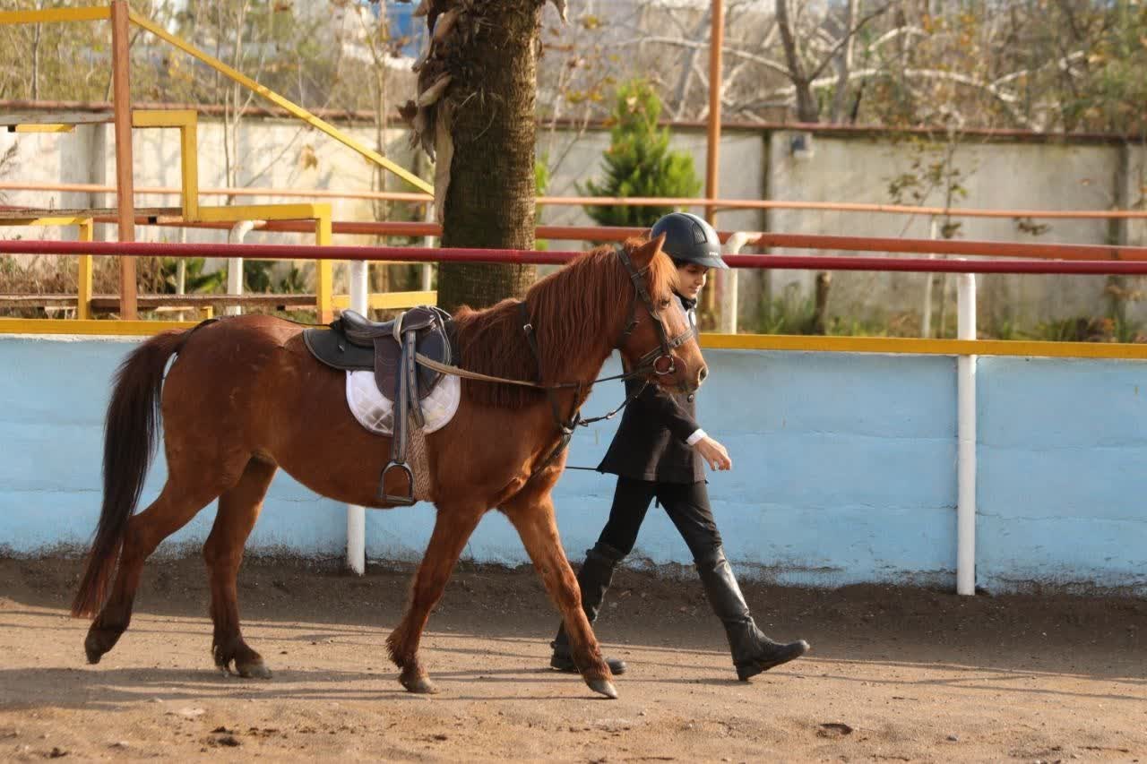 برگزاری بیستمین جشنواره ملی زیبایی اسب كاسپین در منطقه آزاد انزلی + تصاویر