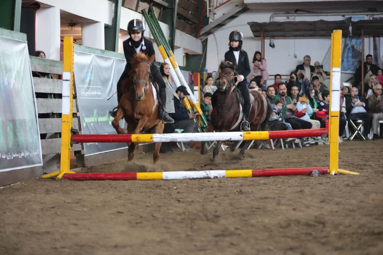 برگزاری بیستمین جشنواره ملی زیبایی اسب كاسپین در منطقه آزاد انزلی + تصاویر
