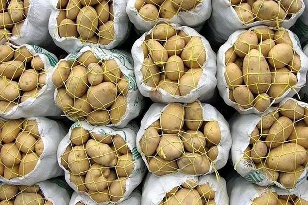 ورود نخستین محموله سیب زمینی به کشور/ قیمت ها کنترل می شود
