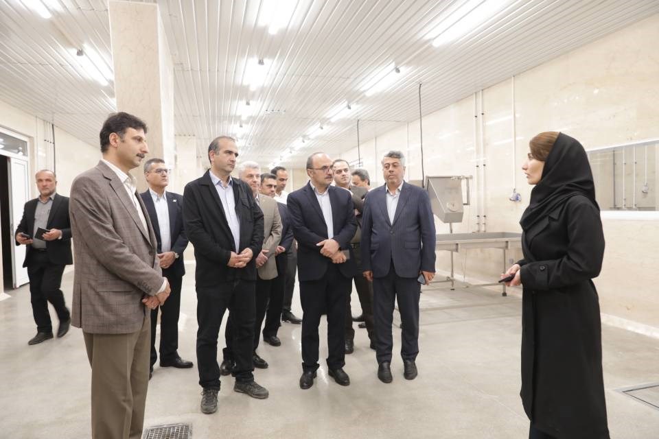 شتاب‌بخشی به توسعه زیرساخت‌های گمركی و رفع موانع واحدهای صنعتی