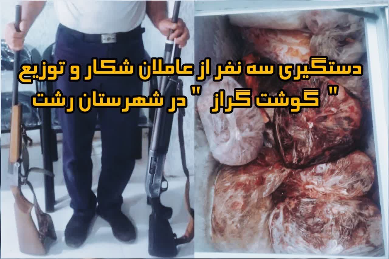 کشف بیش از ۲۰۰ کیلو گوشت گراز در رشت؛ ۳ نفر دستگیر شدند
