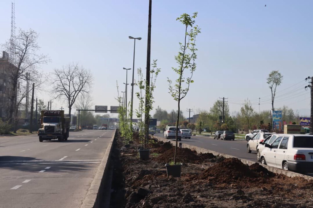 آغاز بزرگ ‌ترین طرح درختکاری در رشت؛ کاشت ۱۰ هزار نهال بومی و انتقال ۱۵۰۰ درخت انجیلی