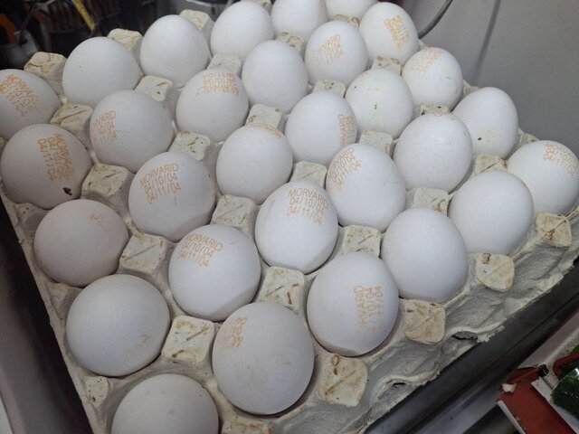 تخم‌ مرغ 300 هزار تومانی/ بازار از اتحادیه جلو زد!